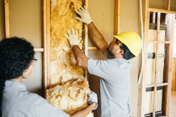 Trusted Sonora, TX Insulation Experts