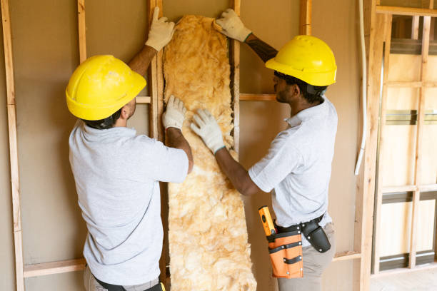 Best Spray Foam Insulation  in Sonora, TX